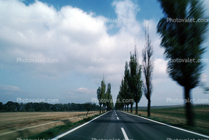 Tree lined Road, Teplice, Highway, Roadway, Road