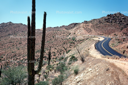 S-Curve, Road, Roadway, To Payson, Arizona