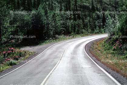 Road, Roadway, Highway-1, Matanuska River Valley