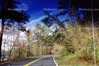 Trees, Road, Roadway, Highway-28, North Carolina, autumn