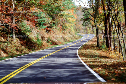 Road, Roadway, Highway-28, North Carolina, autumn