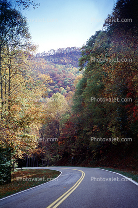 Road Curve, Roadway, Highway-28, North Carolina