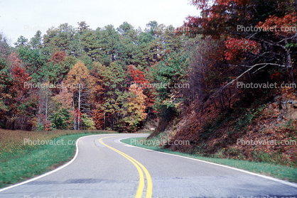Road, Roadway, Highway-28, North Carolina