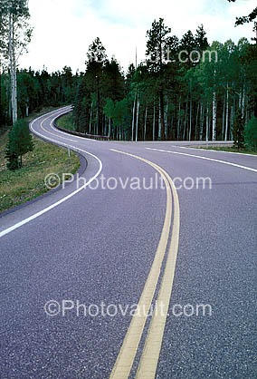 Road, Roadway, Highway-67, Grand Canyon National Park, North Side, Vanishing Point