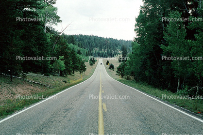 Road, Roadway, Highway-67, Grand Canyon National Park, North Side, Vanishing Point, trees, dashed line