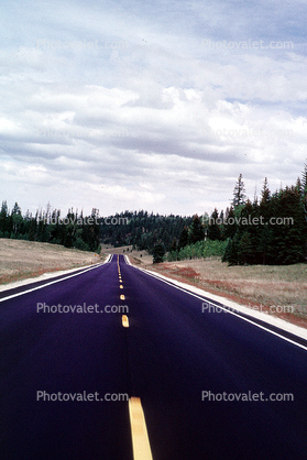 Highway-9, Road, Roadway, Vanishing Point, trees, dashed line, Zion National Park