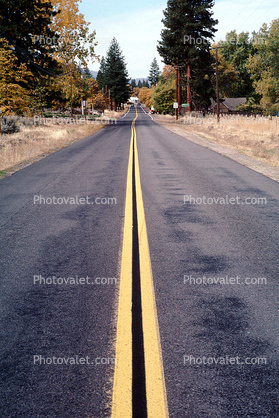 vanishing point, double yellow stripe, forest, woodland, Road, Roadway, Highway, Janesville, California