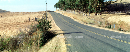 US Coast Highway-1, PCH, Marin County, Panorama