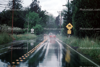 Road, Roadway, Bohemian Highway, Sonoma County, California