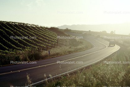 Road, Roadway, Highway, Sonoma County