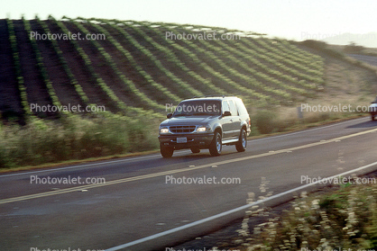 SUV, Road, Roadway, Highway, Sonoma County