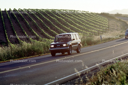 SUV, Road, Roadway, Highway, Sonoma County