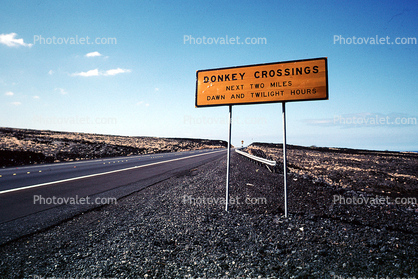 Donkey Crossing roadway, road, paved, lava fields, Kona, Hawaii