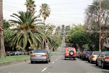 Dolores Street, heading north, cars, automobiles, vehicles