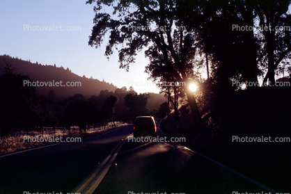 Van, Trees, Sunset, Mendocino County