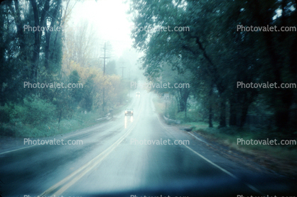 Road, Roadway, Highway, rain, inclement weather, rainy, trees