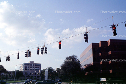 Traffic Signal Light, Stop Light, Tampa