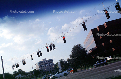 Stop Light, Traffic Signal Light, Tampa