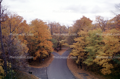 Door County, Road, Roadway, Highway, autumn
