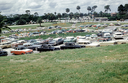 Parked Cars, Parking Lot, Florida, 1959, 1950s