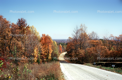 Dirt Road Portfolio, Roadway, Highway, Fall Colors, Autumn, Deciduous Trees, Woodland, unpaved