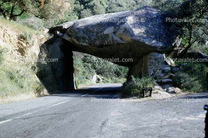 Rock Tunnel, tree, Road, Roadway, Highway, Yosemite