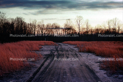 Dirt Road, Icy, Cold, Winter, unpaved