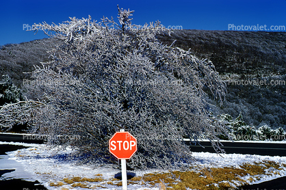 Stop sign, snow, cold, ice, Frozen, Icy, Winter, Exterior, Outdoors, Outside