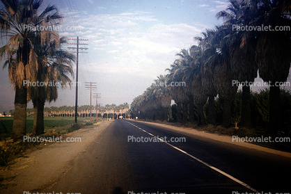 Road, Highway, near Fresno, 1954, 1950s