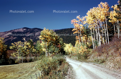The Basin Road, Highway, dirt road, aspen trees, near Santa-Fe