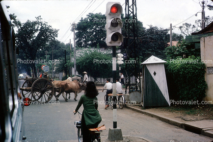Street Light, Bangkok Thailand, October 1962, 1960s