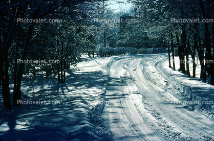 Snow, Cold, Ice, Chill, Chilly, Street, Road, Garrison Street, Wheat Ridge, Colorado