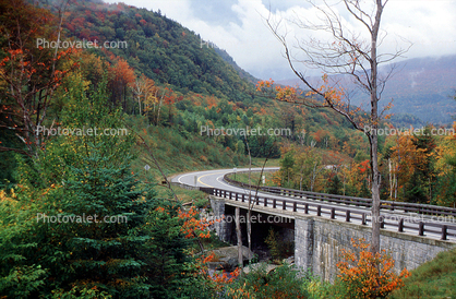 Road, Highway, Roadway, Bucolic Scene, River, Stream, autumn
