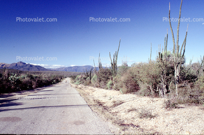 Desert Road, Highway