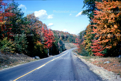 Road, Highway, Fall Colors, Autumn, Deciduous Trees, Woodland, Vermont