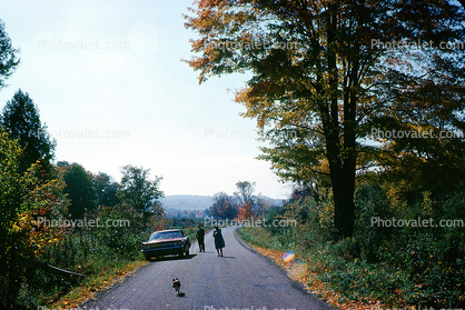 Car, Road, Nature, Trees, People, Stroll, March 1967, 1960s
