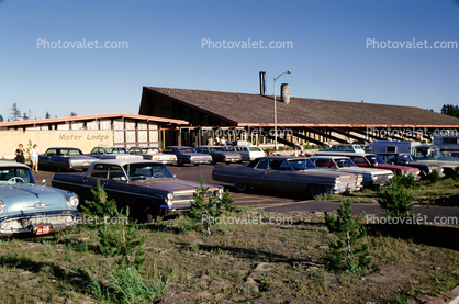 Parking Lot full of Cars, Bonneville, Buick, Cadillac, Ford, Chevy, Motor Lodge, building, Motel, June 1964, 1960s