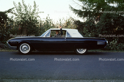Ford Thunderbird, car, automobile, 1950s
