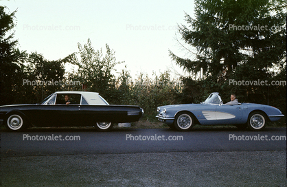 Chevy Corvette, Ford Thunderbird, car, automobile, 1950s