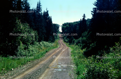 Dirt Road, Realty Road, Allagash, 1950s
