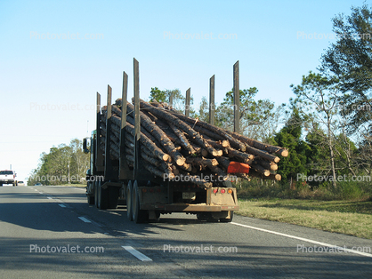 Logging Truck, logs