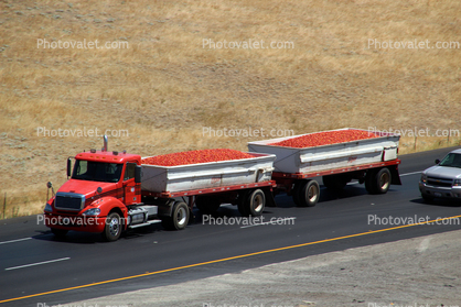 Tomato Truck, semi, Interstate Highway I-5, near Newman