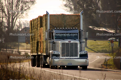 Peterbilt Hay Truck, Valley Ford Road, Sonoma County