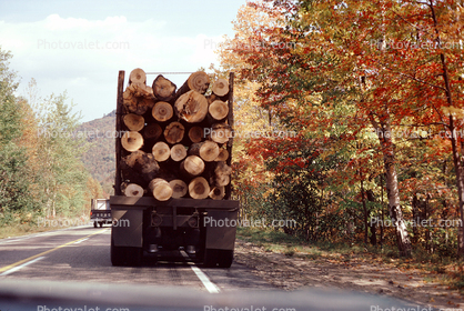 Logging Truck, Fall Colors, trees