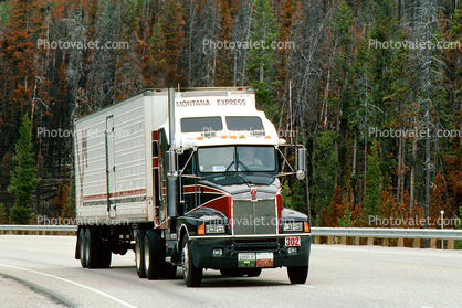 Montana Express, Kenworth, Semi-trailer truck, Semi
