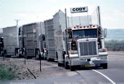 Peterbilt, cattle truck, west central Wyoming, Highway 191, Semi-trailer truck, Semi