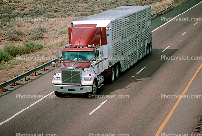 White Catt;e Truck, Interstate Highway I-40 looking west, Semi-trailer truck, Semi