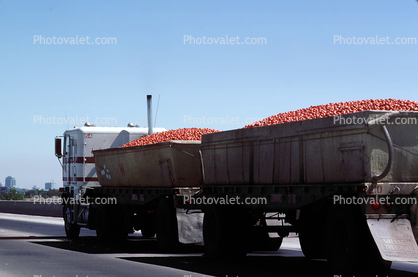 tomato, Interstate Highway I-80, farm products bulk, cabover, west of Sacramento