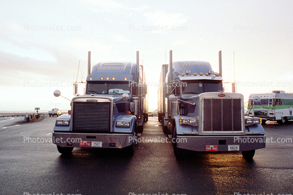 Peterbilt head-on, Freightliner head-on, Semi-trailer truck, Semi