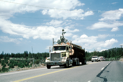 Peterbilt, Logging Truck, Susanville, Highway 36